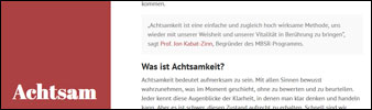 Achtsamkeitstraining Henke